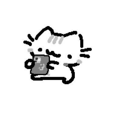 polaroid $90 for non t3s x1 polaroid and smol note